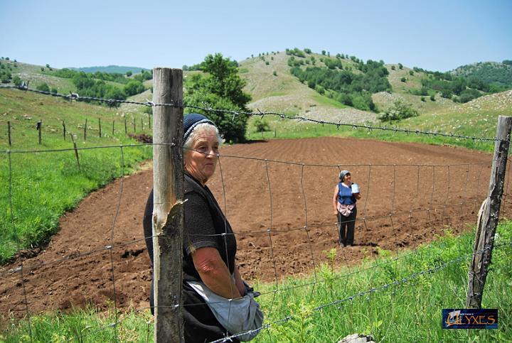 anna rella.JPG